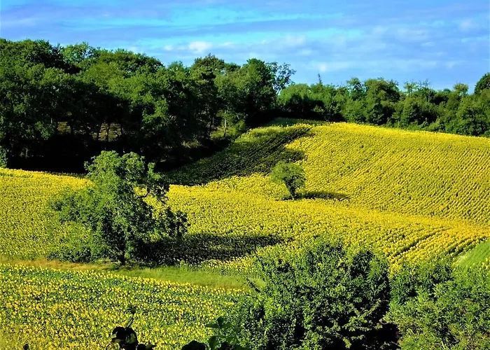 Βίλα Fresignac Montmoreau